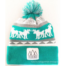 Popular Jacquard Striped Acrylic Sport Cuff Trend Beanie (S-1058)